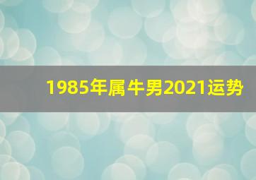 1985年属牛男2021运势