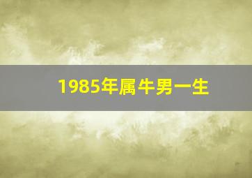 1985年属牛男一生