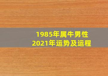 1985年属牛男性2021年运势及运程