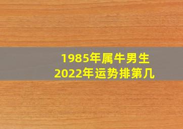 1985年属牛男生2022年运势排第几