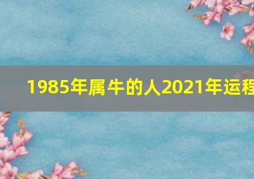 1985年属牛的人2021年运程