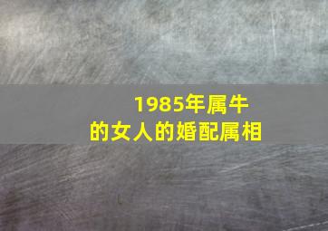 1985年属牛的女人的婚配属相