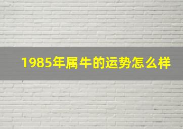 1985年属牛的运势怎么样