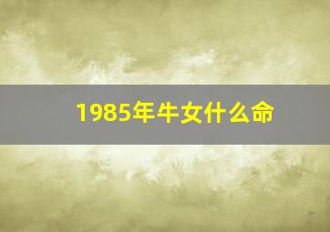 1985年牛女什么命