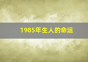 1985年生人的命运