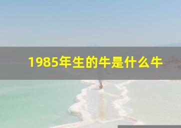 1985年生的牛是什么牛