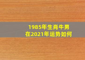 1985年生肖牛男在2021年运势如何