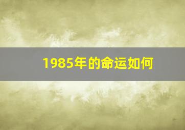 1985年的命运如何