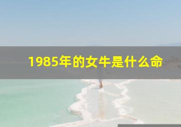 1985年的女牛是什么命