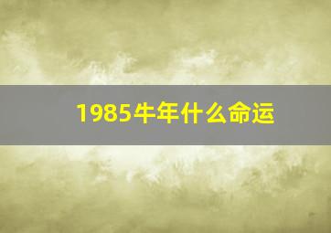 1985牛年什么命运