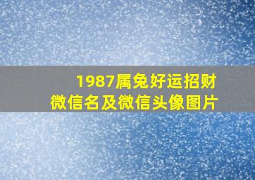 1987属兔好运招财微信名及微信头像图片