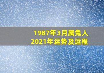 1987年3月属兔人2021年运势及运程