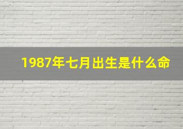 1987年七月出生是什么命