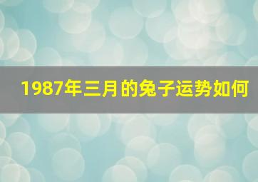 1987年三月的兔子运势如何