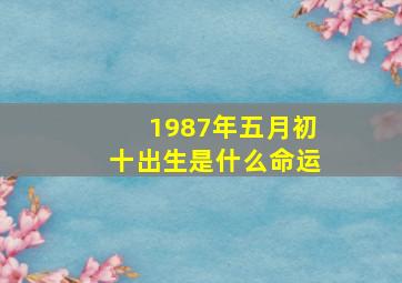 1987年五月初十出生是什么命运