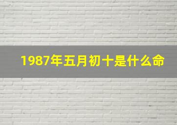 1987年五月初十是什么命