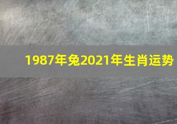 1987年兔2021年生肖运势