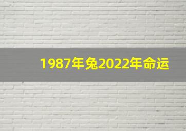 1987年兔2022年命运