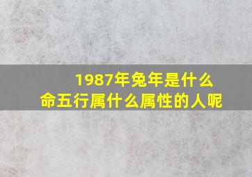 1987年兔年是什么命五行属什么属性的人呢