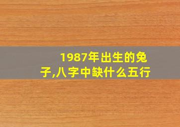 1987年出生的兔子,八字中缺什么五行