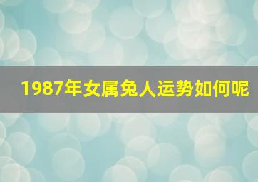 1987年女属兔人运势如何呢