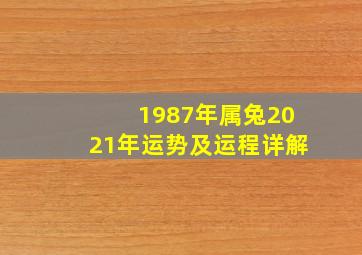 1987年属兔2021年运势及运程详解