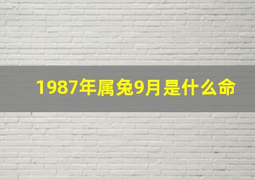 1987年属兔9月是什么命