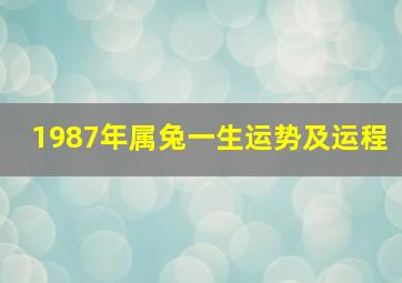 1987年属兔一生运势及运程