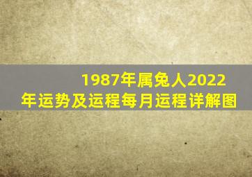 1987年属兔人2022年运势及运程每月运程详解图