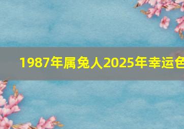 1987年属兔人2025年幸运色