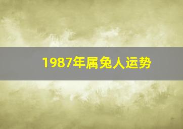 1987年属兔人运势