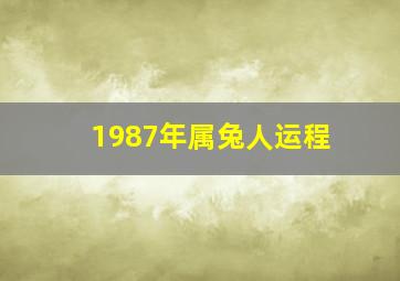 1987年属兔人运程