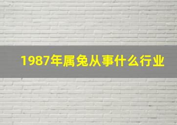 1987年属兔从事什么行业