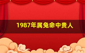 1987年属兔命中贵人