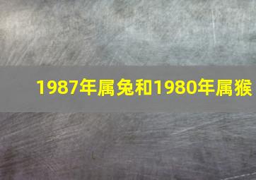 1987年属兔和1980年属猴