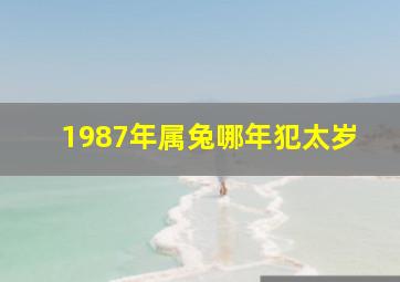 1987年属兔哪年犯太岁