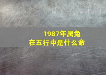 1987年属兔在五行中是什么命