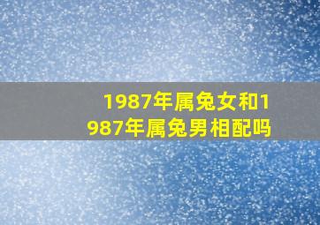 1987年属兔女和1987年属兔男相配吗