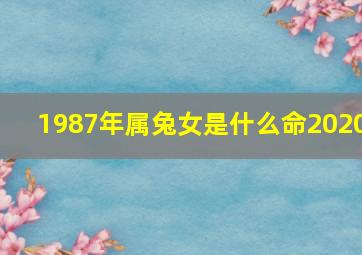 1987年属兔女是什么命2020