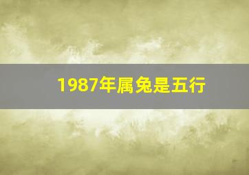 1987年属兔是五行