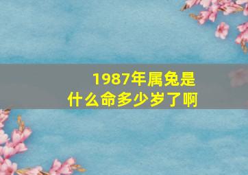 1987年属兔是什么命多少岁了啊