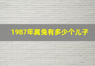 1987年属兔有多少个儿子