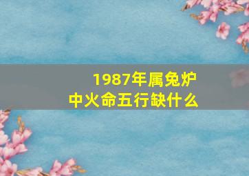 1987年属兔炉中火命五行缺什么