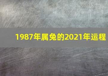 1987年属兔的2021年运程