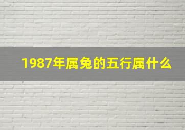 1987年属兔的五行属什么