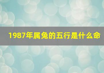 1987年属兔的五行是什么命