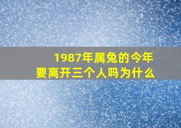 1987年属兔的今年要离开三个人吗为什么