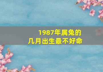 1987年属兔的几月出生最不好命