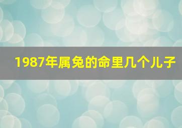 1987年属兔的命里几个儿子