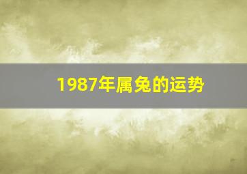 1987年属兔的运势